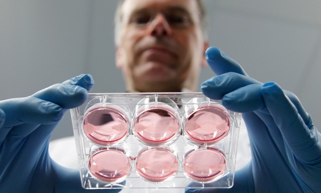 dutch-scientist-mark-post-displays-samples-of-in-vitro-meat-doesnt-it-look-delicious