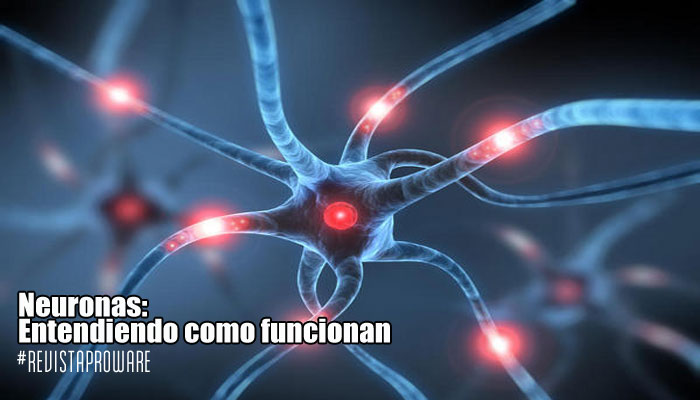neuronas_