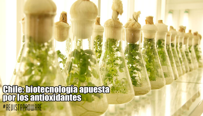 biotecnologia_chile