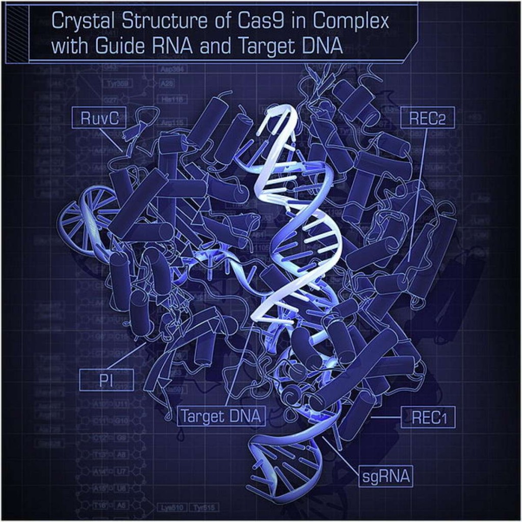 crystal_structure_