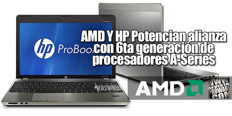 AMD-HP