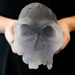 Base de datos permitirá imprimir fósiles en 3D.
