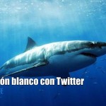 Un Tiburón blanco con Twitter