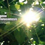 Oxígeno sin fotosíntesis 