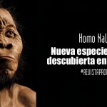 Homo Naledi: Nueva especie humana descubierta en Sudáfrica